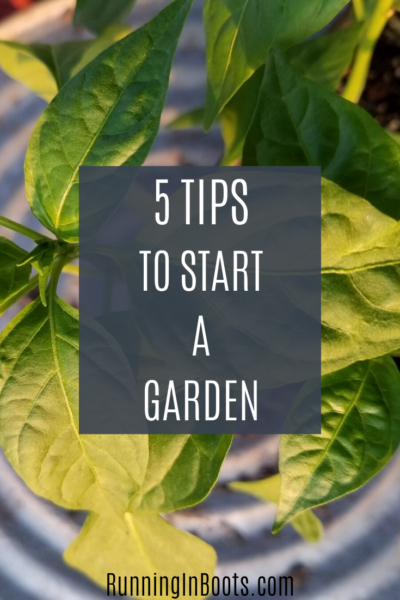 Tips to Start a Garden