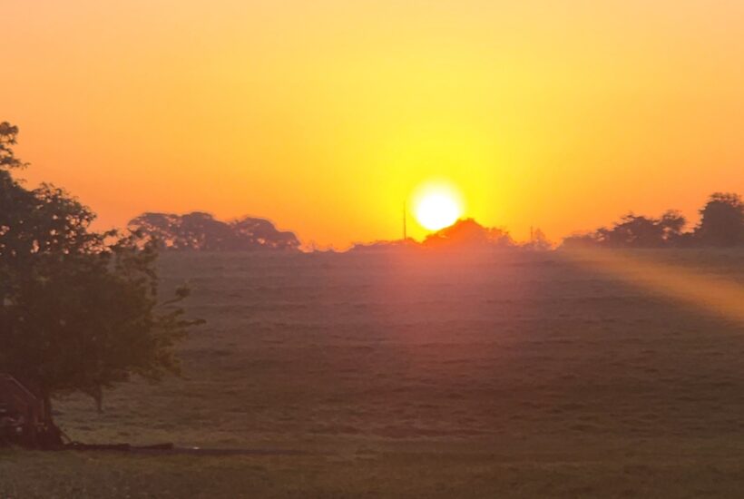 The day I chose to be free