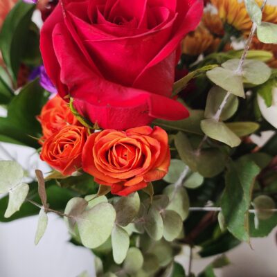 Rediscovering Beauty