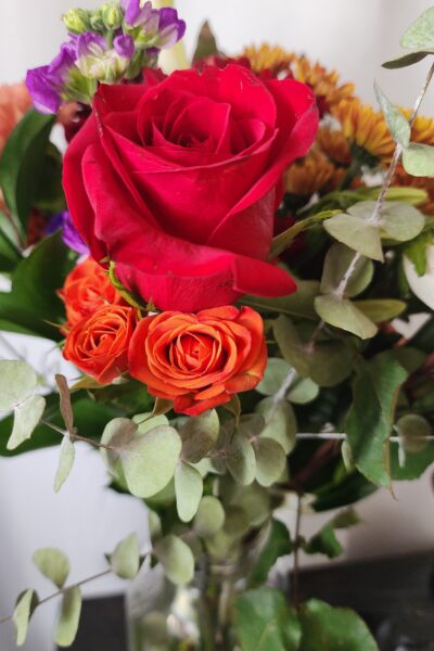 Rediscovering Beauty