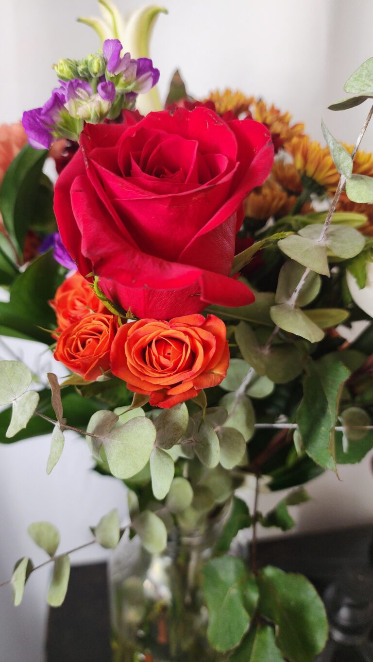 Rediscovering Beauty